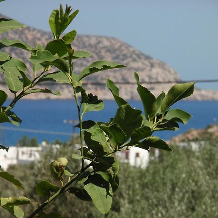 Vardes Hotel Studios Амоопи Екстериор снимка